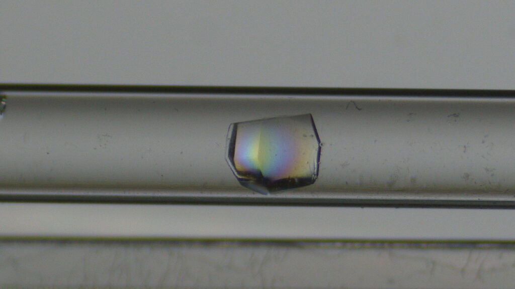 宇宙理科室の結晶実験